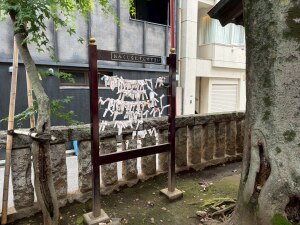 恵比寿神社の神様との縁を結ぶ場所「おみくじかけ」