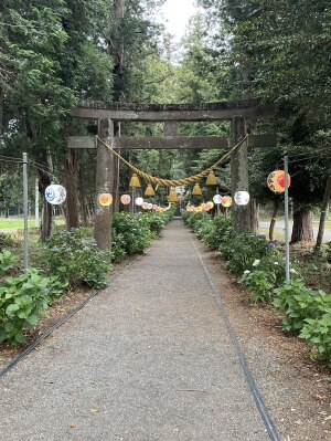 栃木県鹿沼市の磯山神社の鳥居と参道。紫陽花はまだ咲き始めで提灯が並ぶ静かな参道