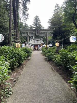 栃木県鹿沼市の磯山神社のあじさい参道。提灯が並ぶ参道の奥に鳥居と社殿が見える風景
