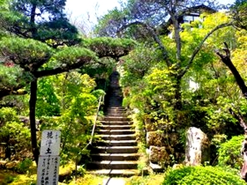第三十二番法性寺の約120段の石段