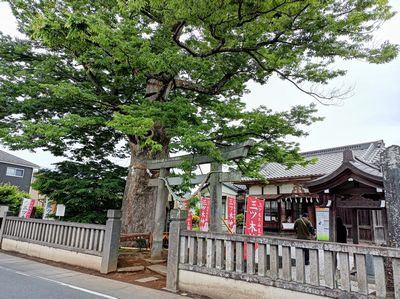 三ツ木神社（埼玉県鴻巣市）の御朱印